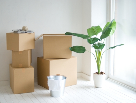 入居者前・入居時